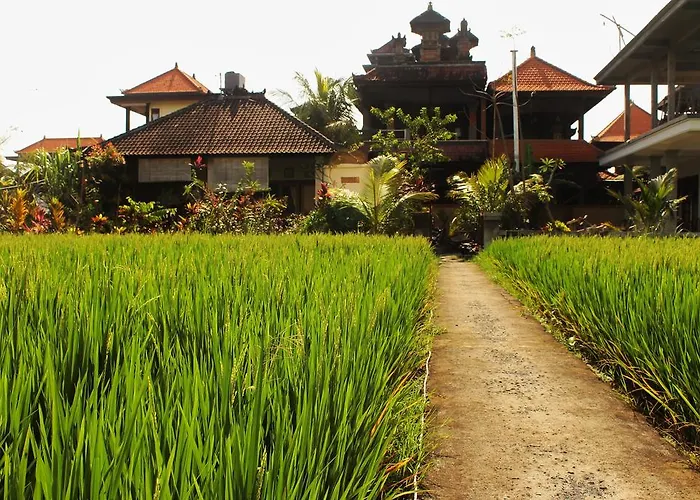 Cenik House 4*